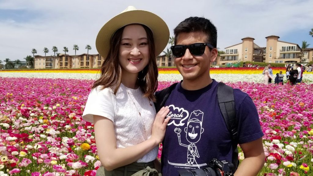 The Flower Fields at Carlsbad