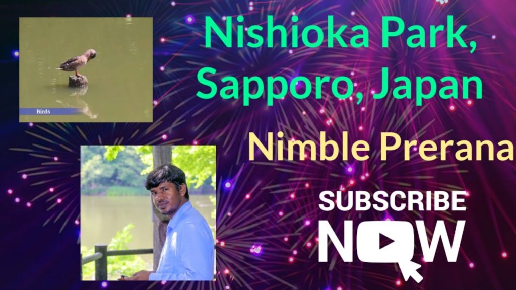 #Sapporo First solo travel experience, Nishioka Park, Hokkaido Japan (Telugu lo)  Indians in Japan