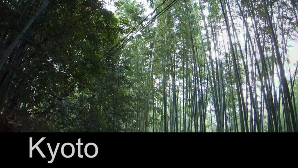 Promenade au Japon - 嵐山 ・ ARASHIYAMA - Kyoto Trip / Trip to Japan