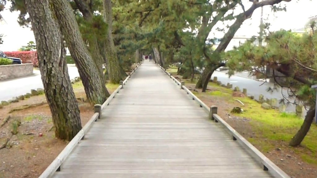 Miho,World heritage site in Shizuoka, Japan. "Kami no Michi"