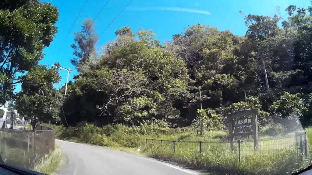 Drive through Kunigami Village - Oct 20, 2015
