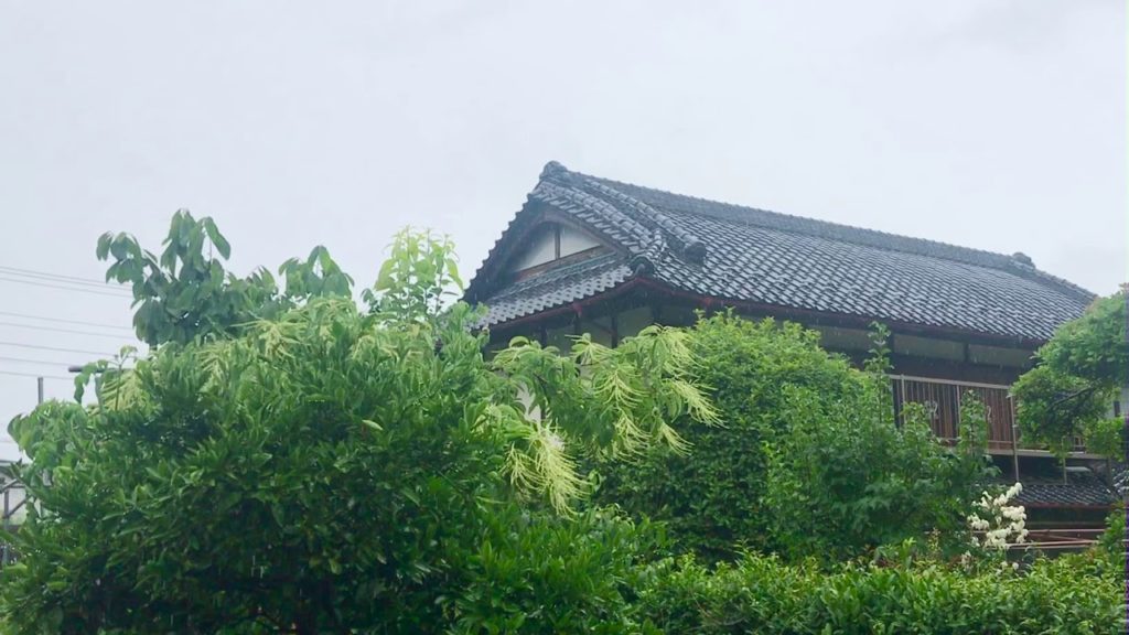 Sounds of nature : Rain in the countryside of Japan - Nature healing