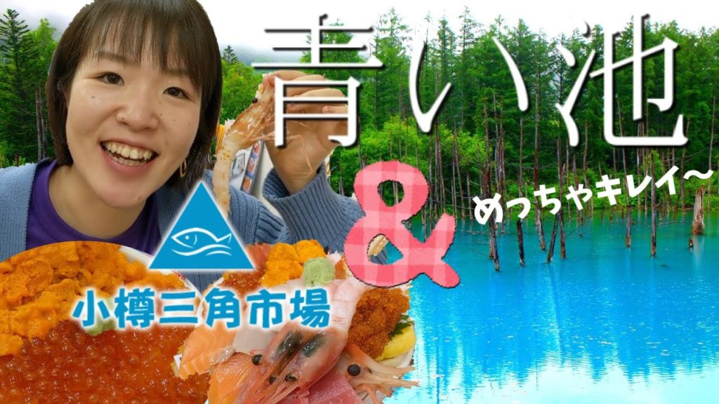 美瑛青い池と海鮮丼【北海道旅行】(♯005) 美瑛青い池と海鮮丼【北海道旅行】(♯005)