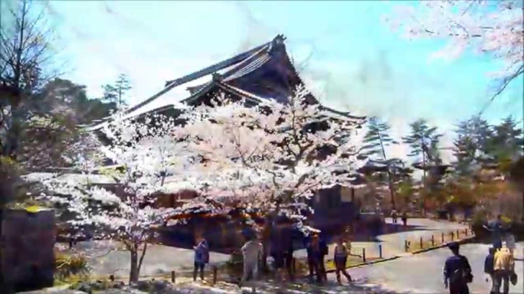 Cherry Blossom Nanzen-ji Temple Kyoto Japan 2015 Apr.02