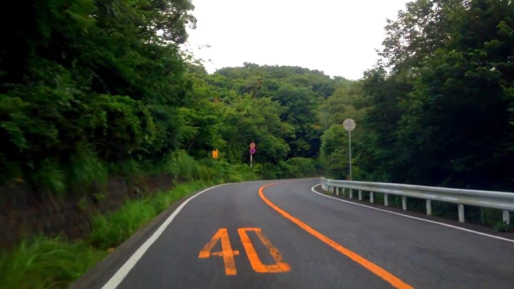 Road of Nihondaira,shizuoka japan