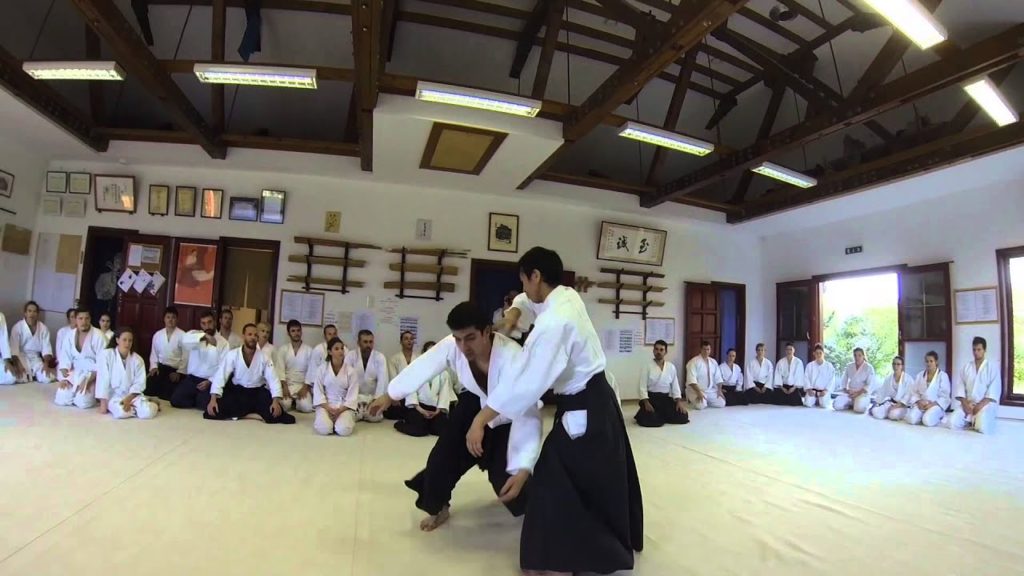 IX. ASD Camp with Shirakawa Ryuji sensei, from Sendai, Japan