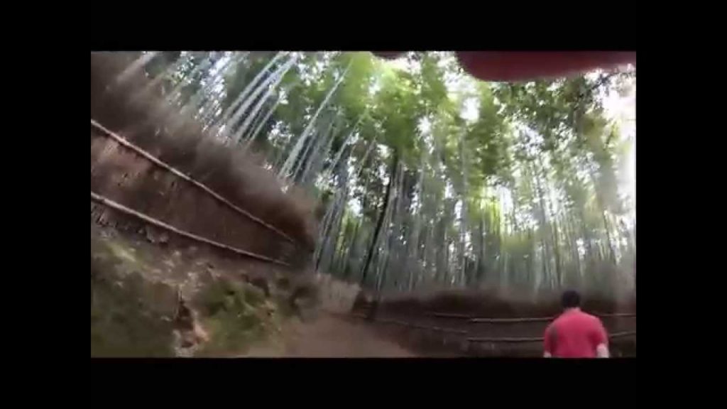 Kyoto Bamboo Forest Trip