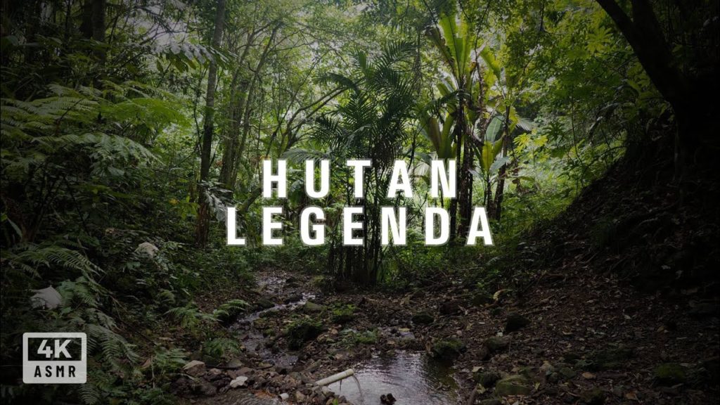 #SUARAALAM - Hutan Legenda Gunung Lawu - A WALK TOUR ASMR