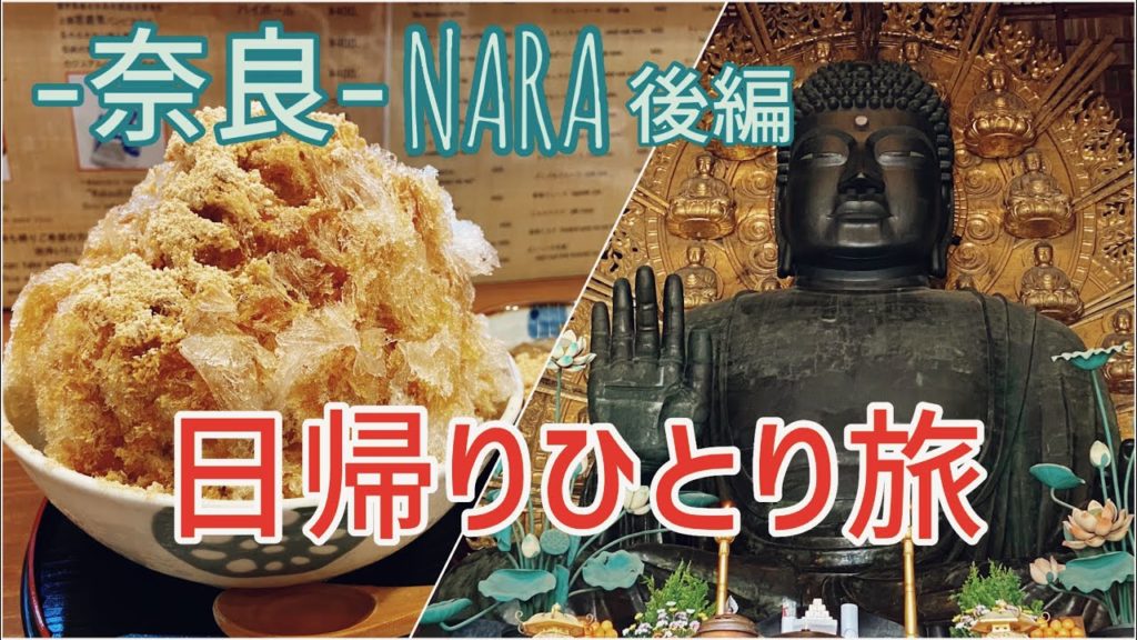 【女一人旅Vlog】国内・奈良旅行　後編/鹿・大仏/観光・食べ歩き/旅行 動画/おすすめ/ソロ活