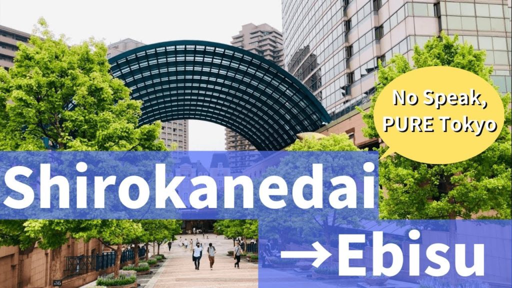 【4K】Walking from SHIROKANEDAI to EBISU, Tokyo （白金台〜恵比寿）