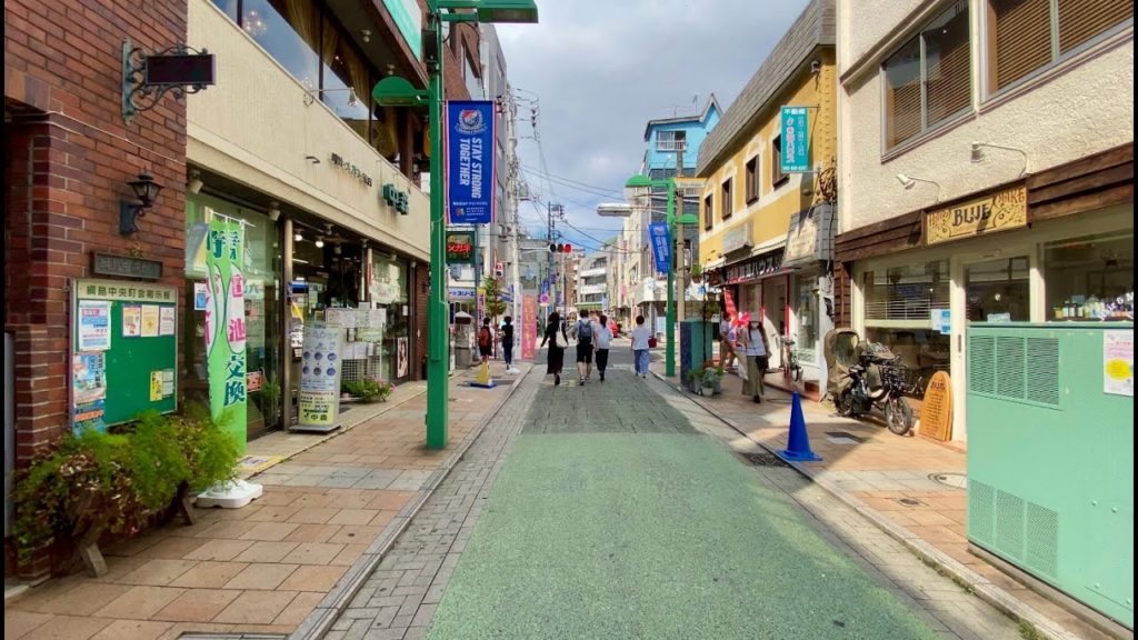 【4K】Walk on Tsunashima(綱島) at Yokohama(横浜)【2020】