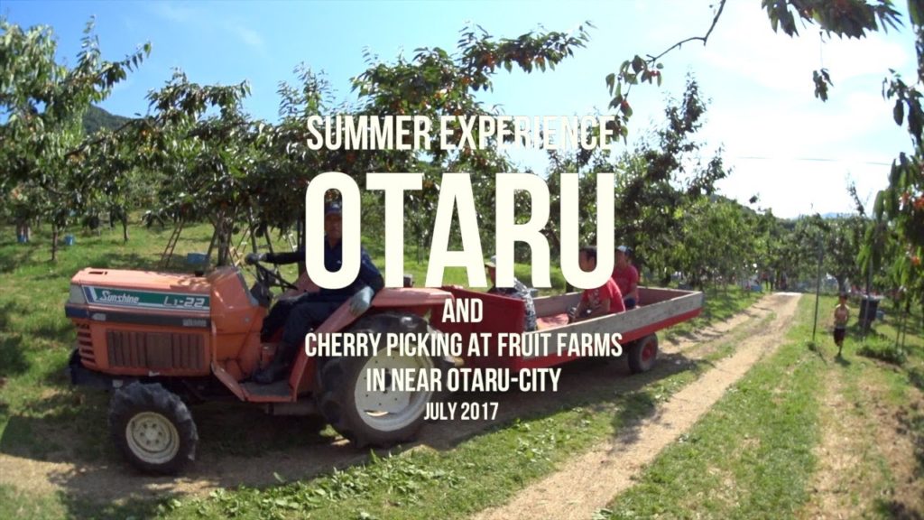 Summer Experience OTARU.