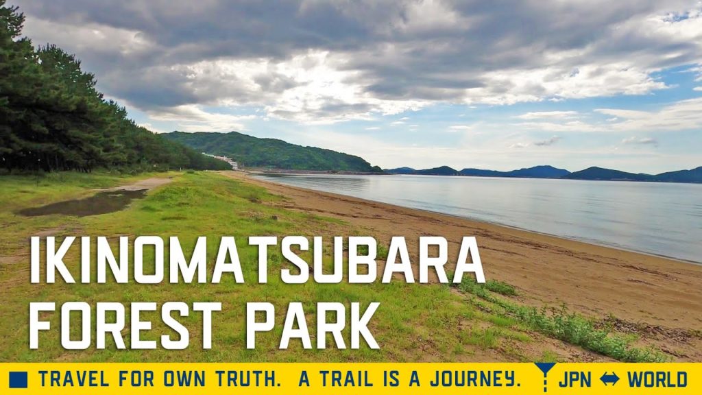 [4K]A walk through the Ikinomatsubara Coastal Forest Park.Fukuoka, Japan.生の松原海岸森林公園を散歩