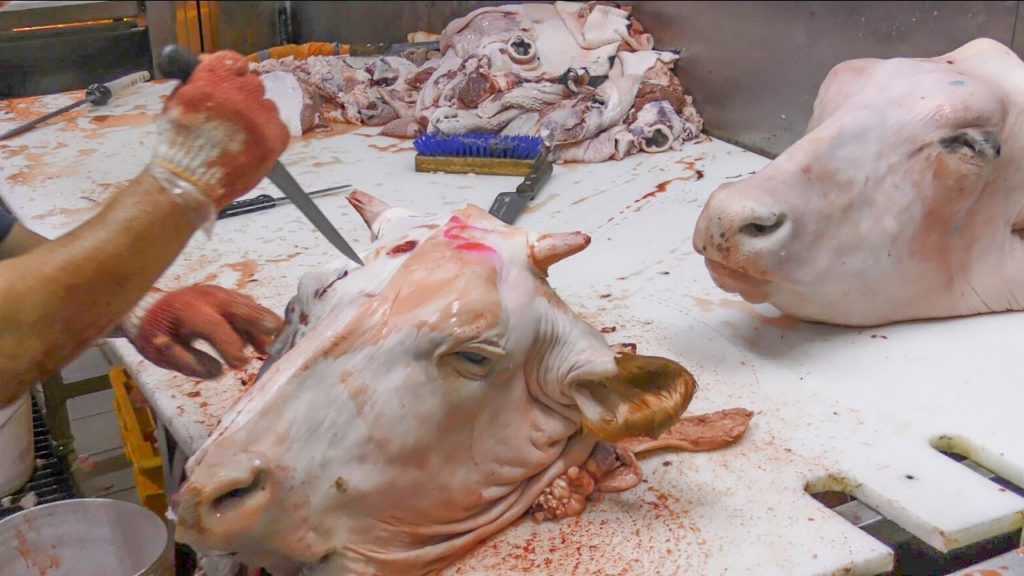 Great Cutting Skills in Majang Meat Market, Seoul. Korea Street Food