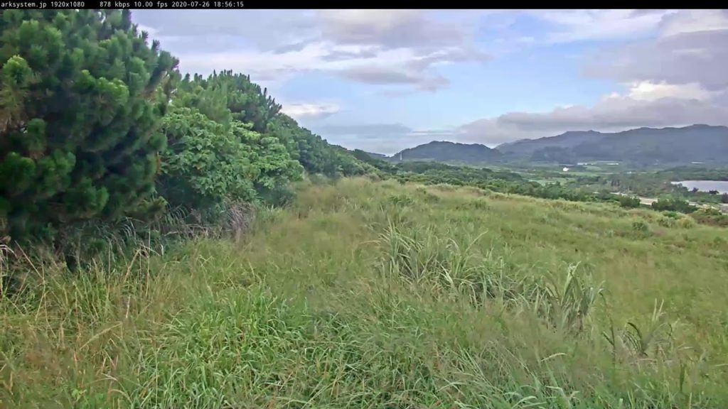 沖縄県石垣島ライブカメラ Live Camera Streaming　Okinawa Ishigaki Live Cam
