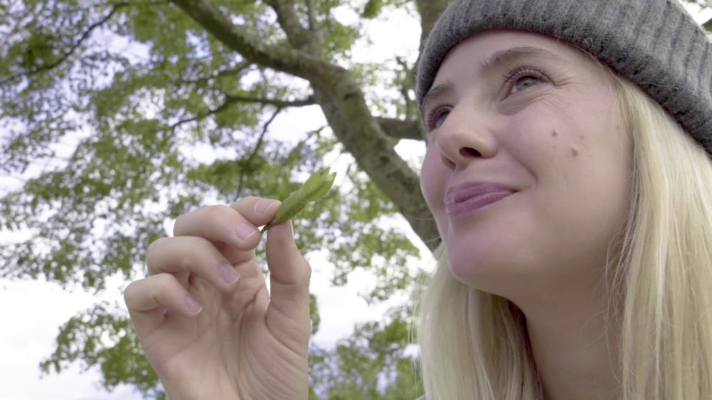 MINOBU TRAVELING THROUGH JAPANESE PEOPLE