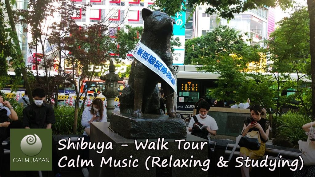 Shibuya Walk Tour Shibuya Walk Tour