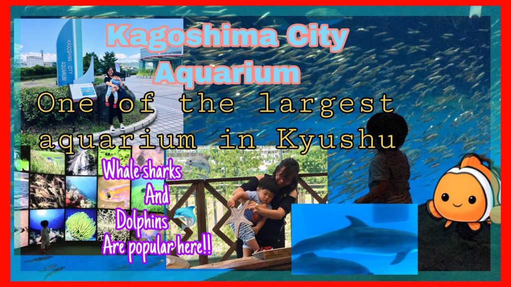 KAGOSHIMA CITY AQUARIUM | Sightseeing spot in Kyushu|TravelVlog