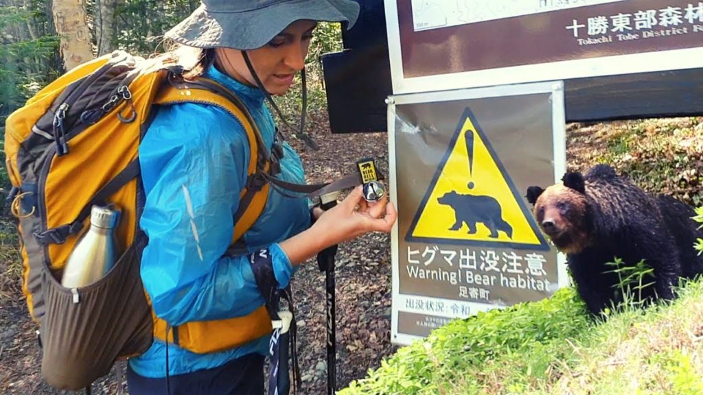 Close encounter with a Brown BEAR (Ep129) Close encounter with a Brown BEAR (Ep129)