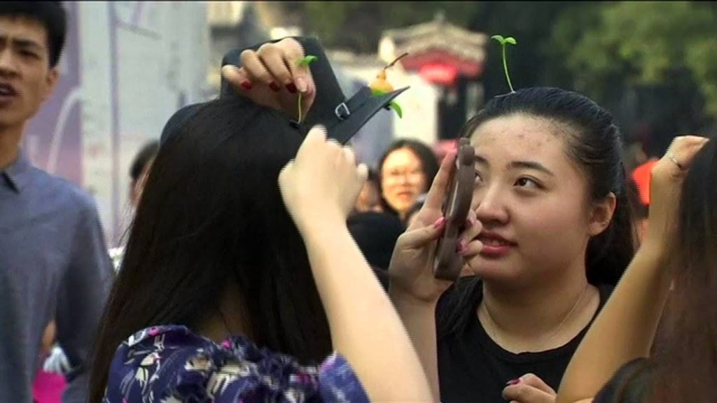 The Travel Show: Japanese Solo Wedding (2015 Week 39)