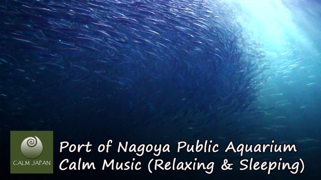 Port of Nagoya Public Aquarium (Part 2) - Calm Relaxing Music for Sleep and Meditate