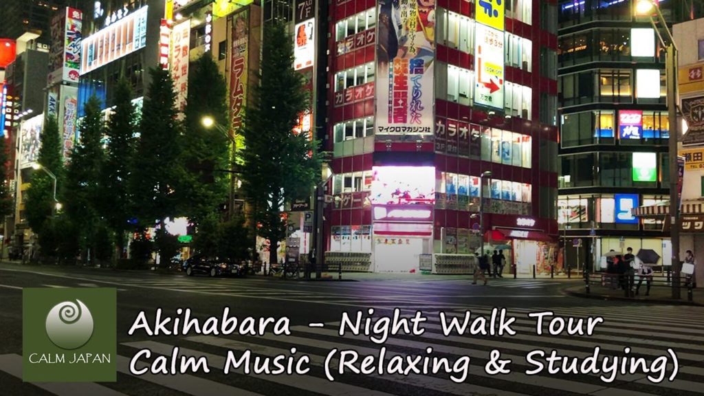 Akihabara Night Walk Tour