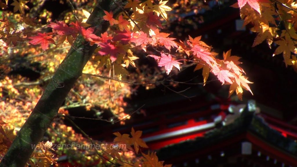 Zen Garden - Autumn Relaxation & Meditation (Full Length)