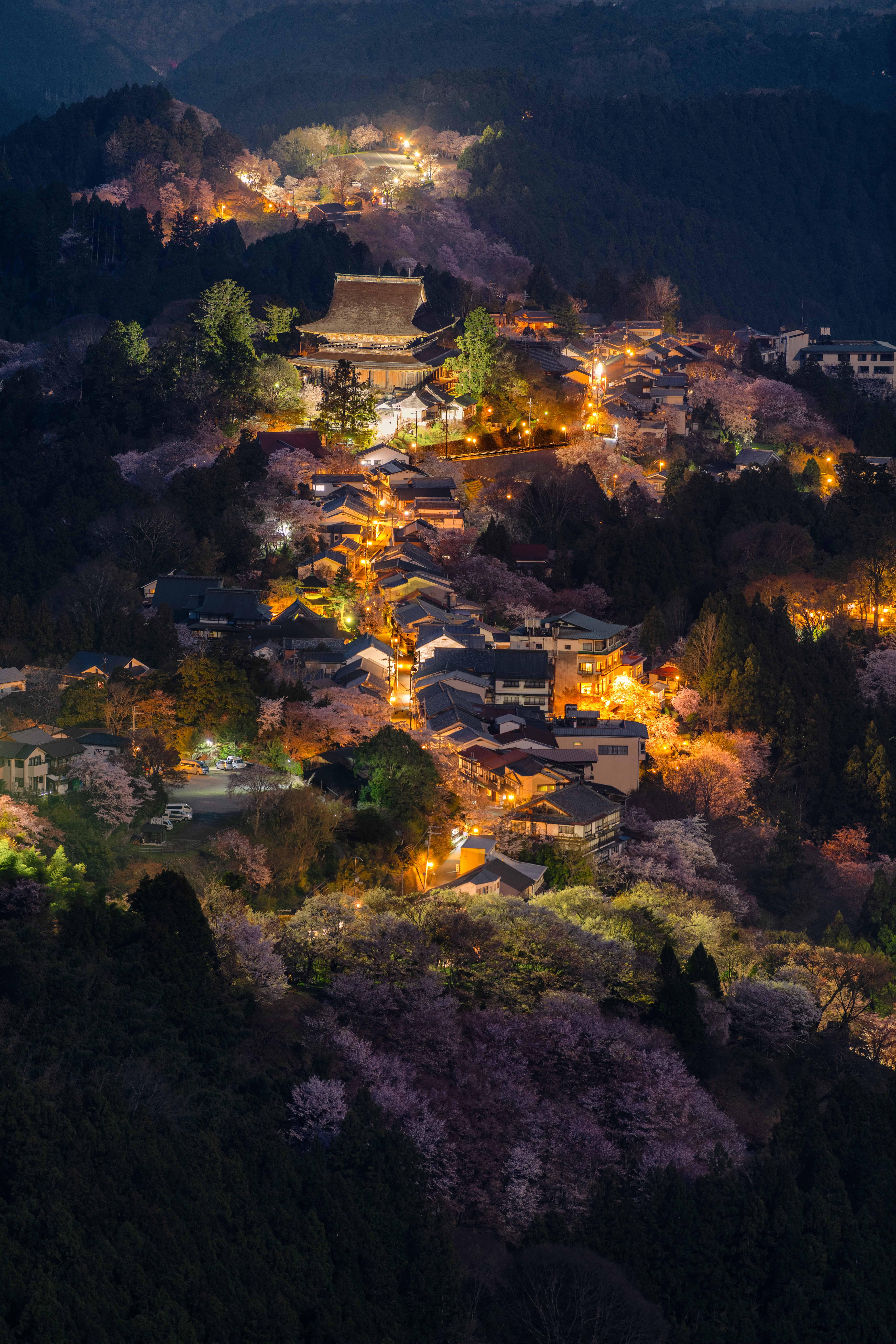 One of the most beautiful cherry blossom locations in Japan, Mt