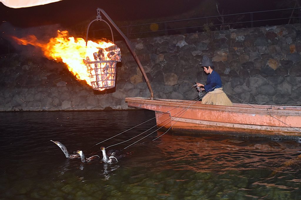 Ukai - Ancient Japanese Fishing with Cormorant Birds in Kyoto