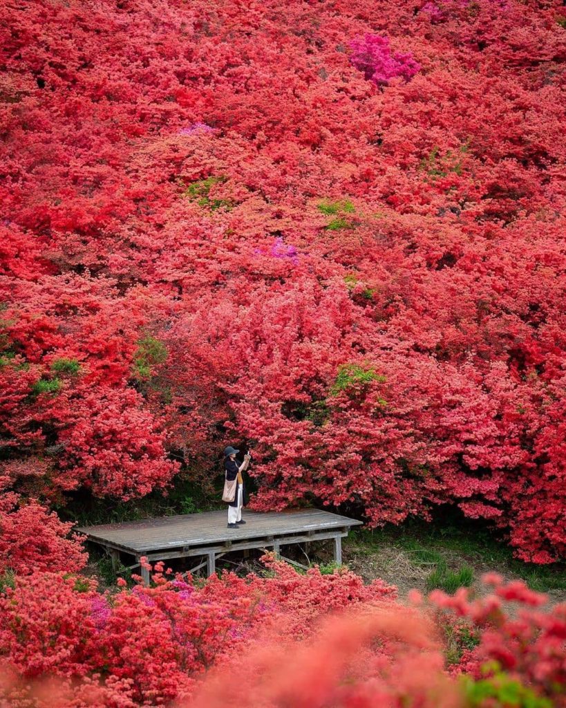 Wondering where you can capture an incredible picture like this one?  Mt. Katsur...