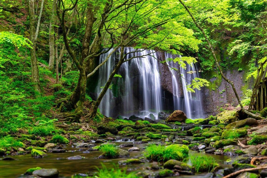 The Tatsuzawa Fudo Falls is a 32-foot curtain of cascading water surrounded by l...