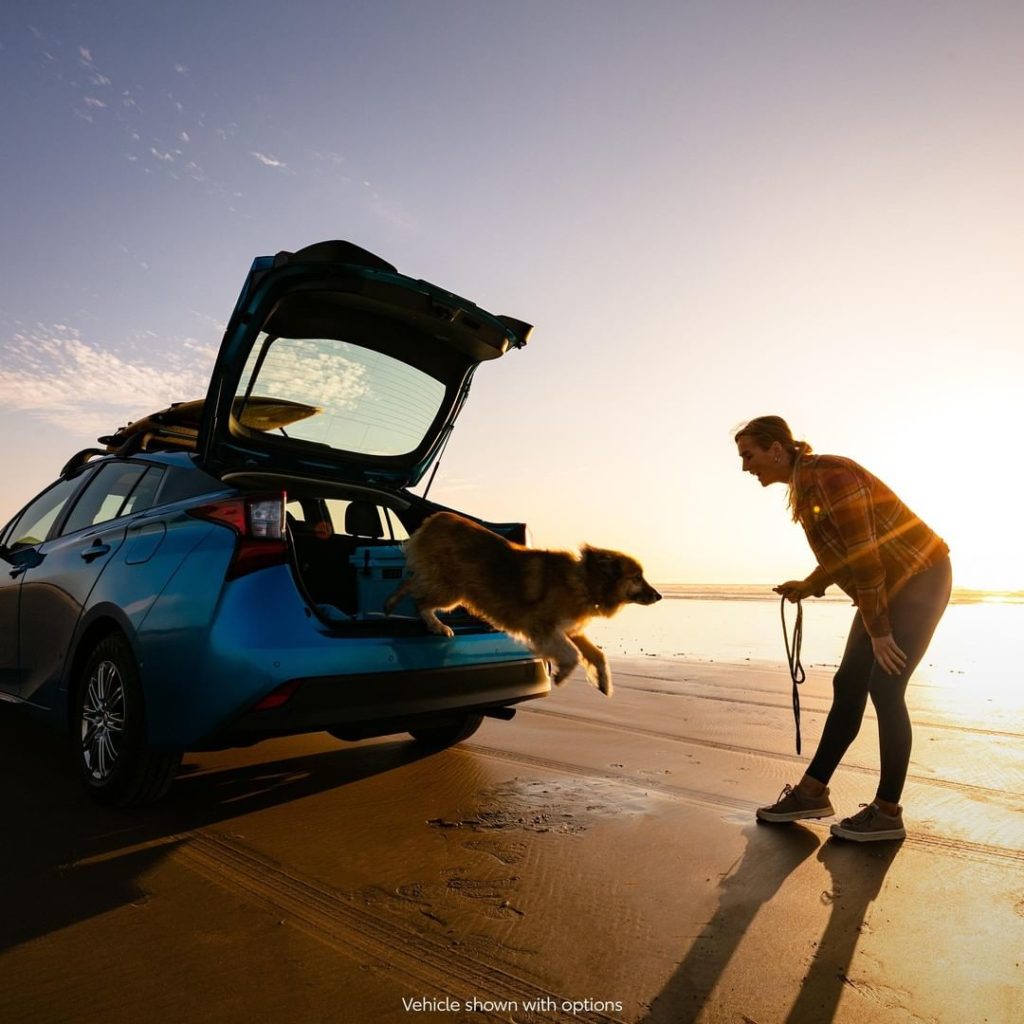 Room for man's best friend and life's best adventures. #Prius #LetsGoPlaces...