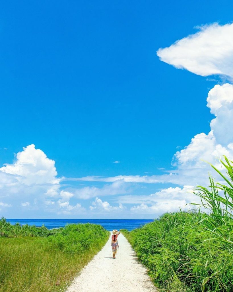 The middle of August in Japan marks the peak of summer, and what screams summer ...