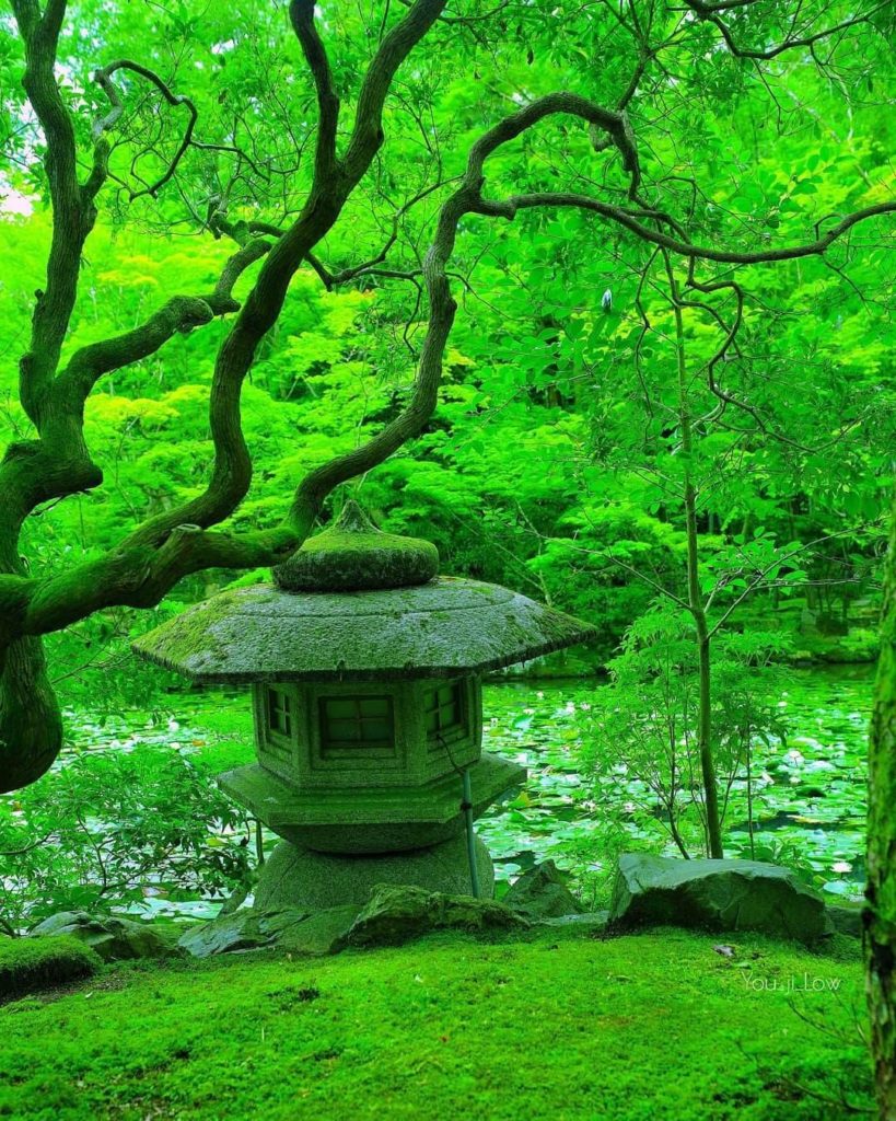 Shimogamo Shrine is one of Kyoto's oldest shrines, and one of 17 Historic Monume...