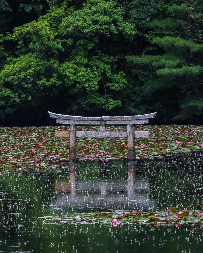 Visit Japan: Have you noticed torii gates are often placed in or next to water? In Shinto rel… Have you noticed torii gates are often placed in or next to water? In Shinto rel...
