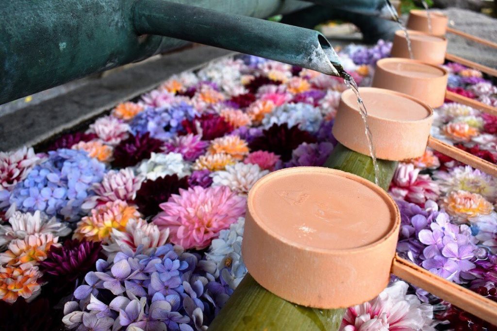 Nara’s Okadera Temple uses a traditional chouzuya or water basin for visitors to...