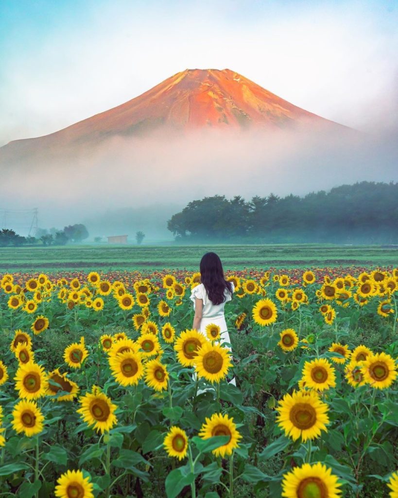 This gorgeous shot near Lake Yamanakako in Yamanashi Prefecture screams summer, ...