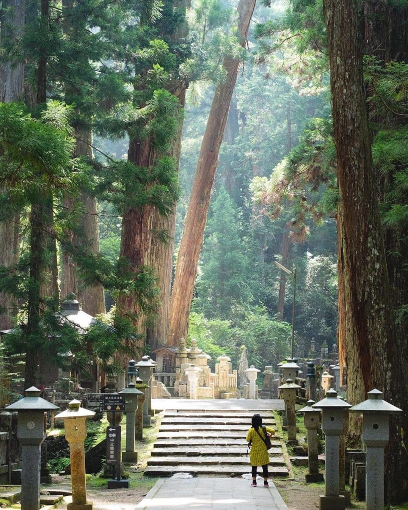 Let us introduce you to Koyasan.  A World Heritage site, the eight peaks and bas...