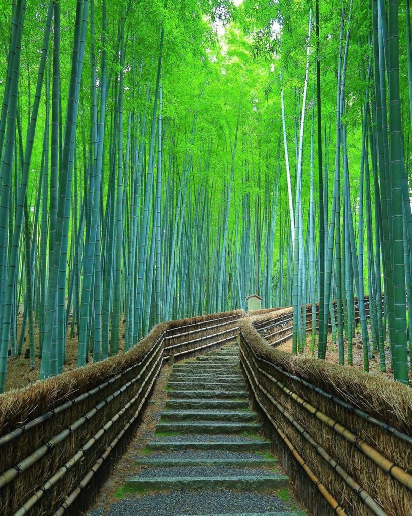 Escape your thoughts and marvel in the lush bamboo groves at Adashino Nenbutsuji...