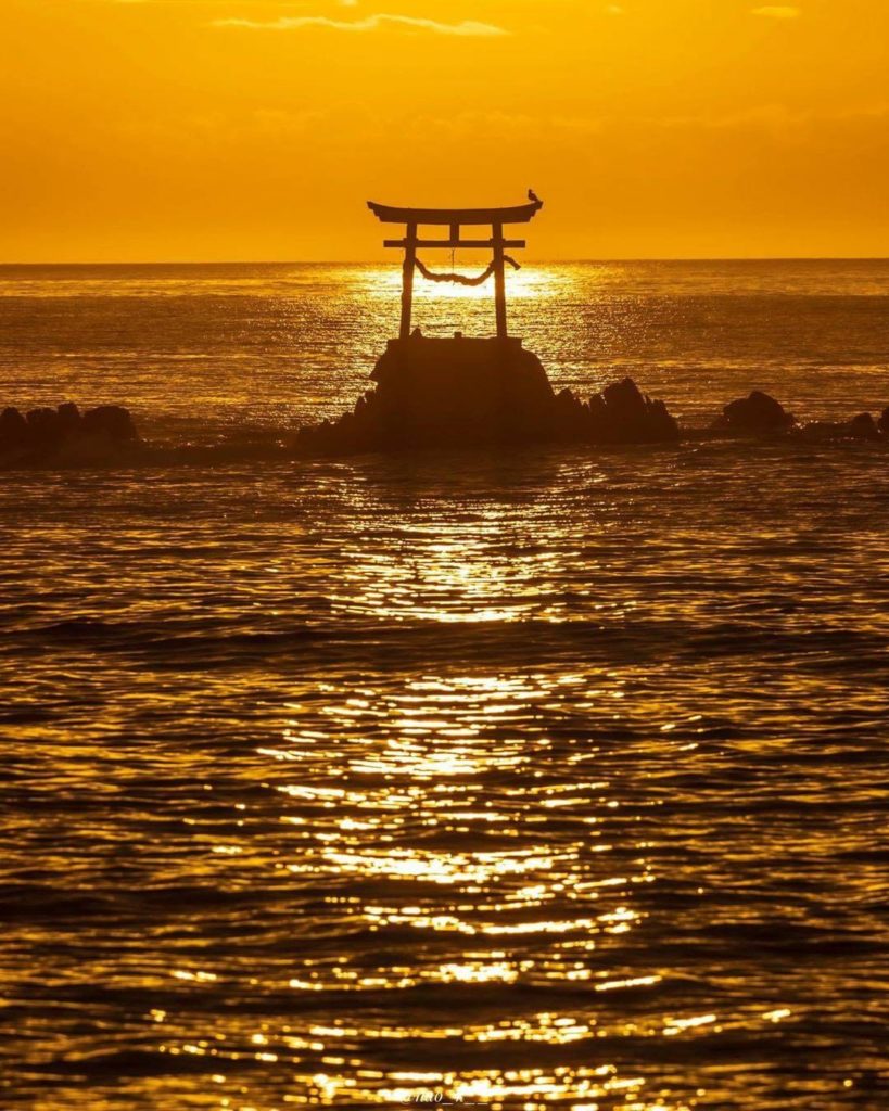 Golden light, shining bright 
: @nao_k__ 
-----⁣⠀
Kitsuki, #Oita Prefecture
.⁣⠀
...