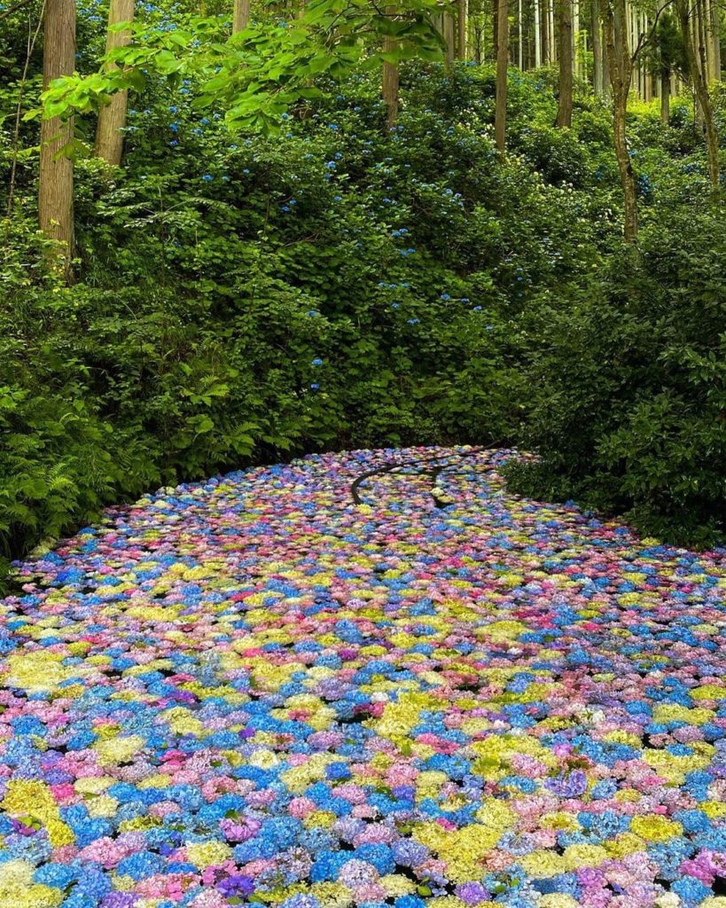 Have you ever seen such a majestic scene that looks like it was taken straight o...