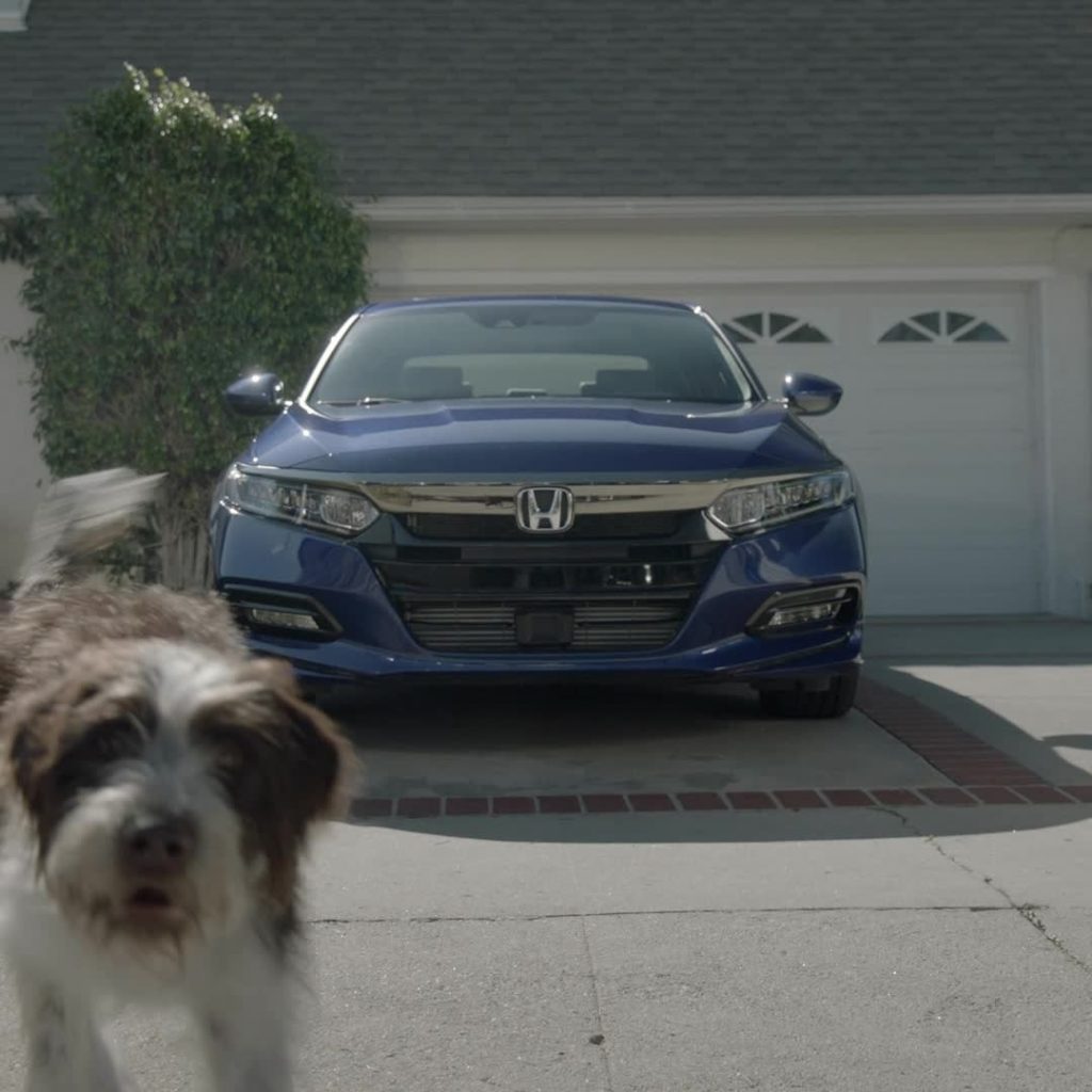 Spend the dog days with man’s best passenger. #NationalDogDay...