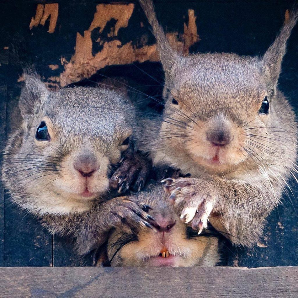 Japan Travel: When we realize 2020 still has several months left…
: @hetareclimber
—–⠀
I… When we realize 2020 still has several months left...
: @hetareclimber
-----⠀
I...