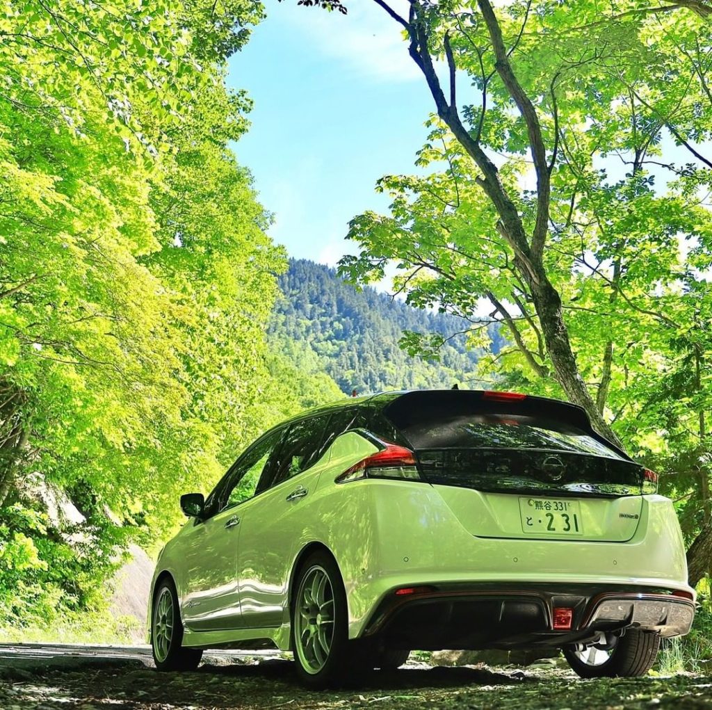 Blending in an homage to beautiful mother nature #NissanLEAF #SimplyAmazing
 @ar...