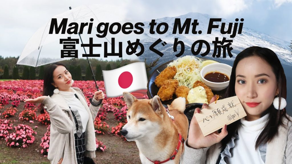 🇯🇵 Mount Fuji Japan Vlog! (+Hananomiyako Park & Gotemba Outlets) 富士山めぐりの旅 | Doll Up Mari