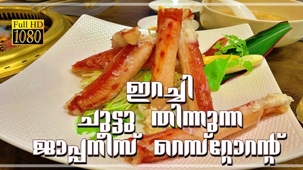 Yakiniku Japanese Food Vlog Malayalam, Barbecue Food in Ibaraki, Travel Vlog, Japan Yakiniku Japanese Food Vlog Malayalam, Barbecue Food in Ibaraki, Travel Vlog, Japan