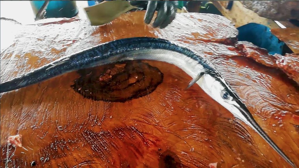 Hound Fish Cutting | Fish Cutting Skills