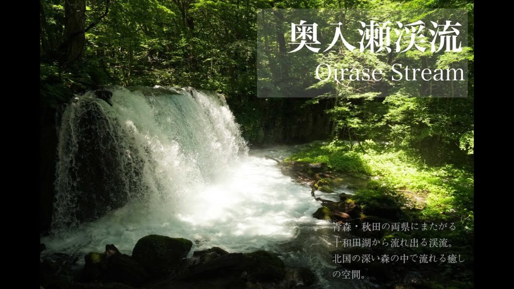 奥入瀬渓流 Oirase Stream 奥入瀬渓流 Oirase Stream