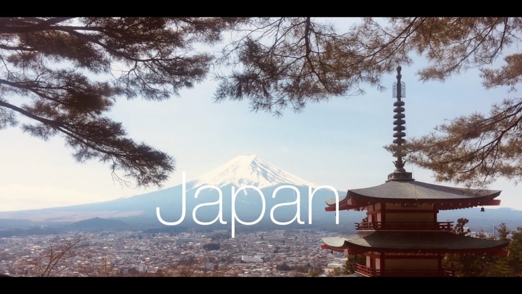 I Went to Japan for the First Time | Tokyo Travel Vlog