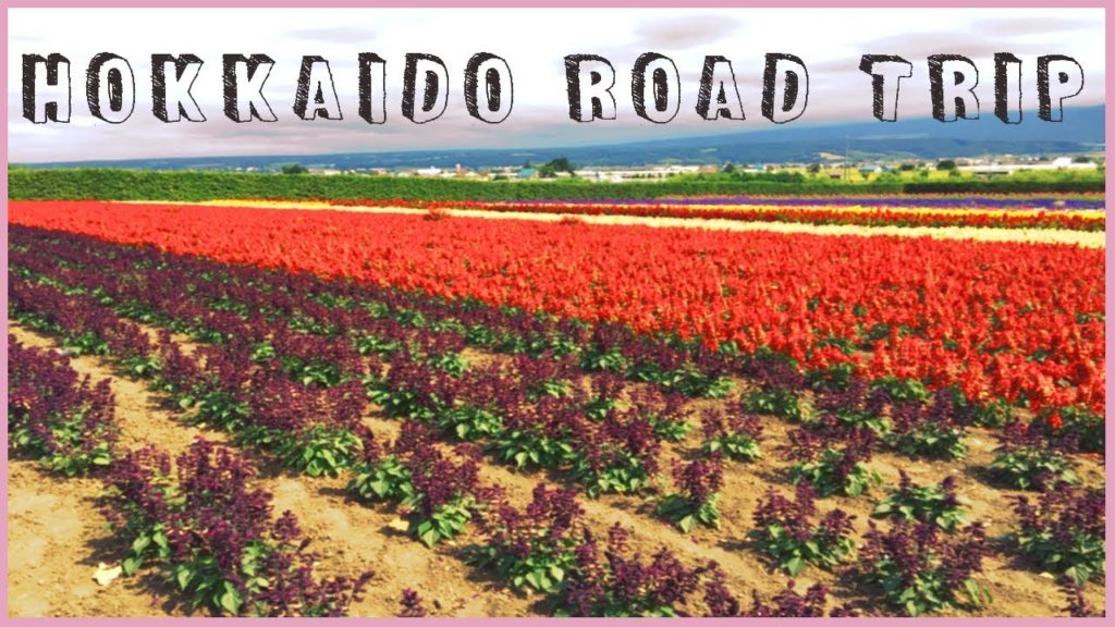 ★ Hokkaido Road Trip ★
